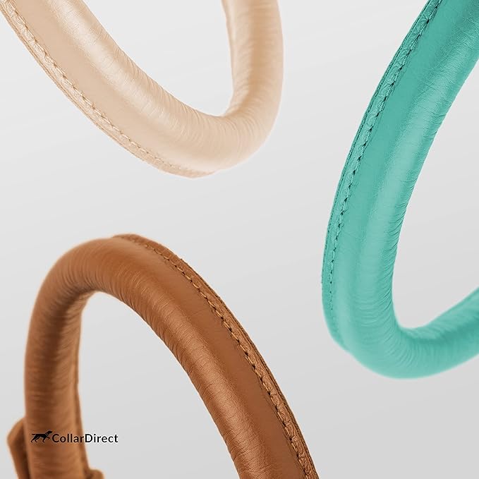 CollarDirect Rolled Leather Dog Collar, Soft Padded Round Puppy Collar, Handmade Genuine Leather Collar Dog Small Large Cat Collars 13 Colors (8-11 Inch, Mint Green Textured)