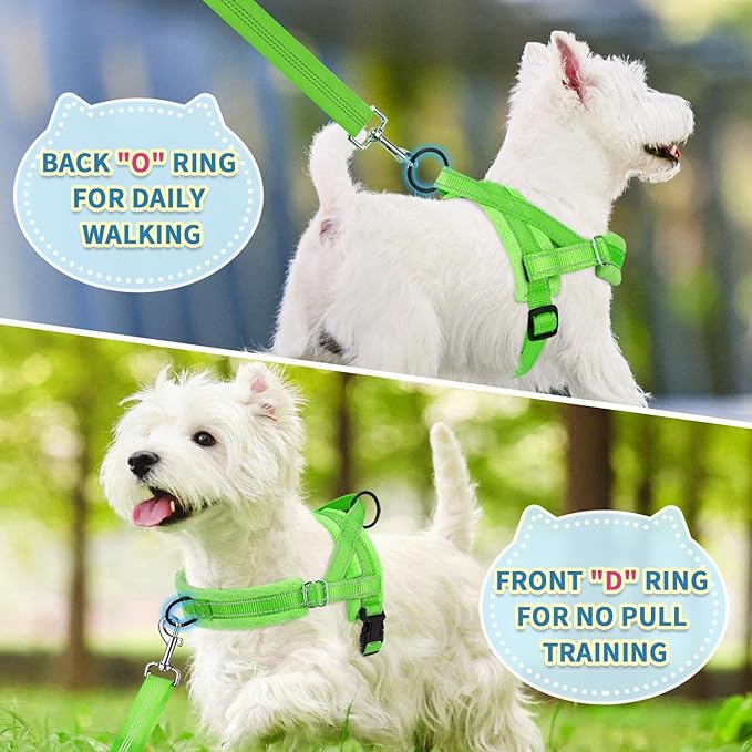 SlowTon No Pull Small Dog Harness and Leash Set, Puppy Soft Vest Harness Neck & Chest Adjustable, Reflective Lightweight Harness & Anti-Twist Pet Lead Combo for Small Medium Dogs (G-Front Clip,XXS)
