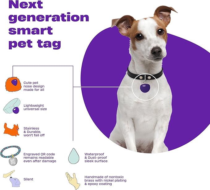 Premium QR Code Dog Tag - Smart Pet ID Tags for Dogs - Scan Dog ID Tag for Instant Location Alert & Modifiable Pet Profile - Dog Tags Personalized for Pets with Dog Training App (Yellow)