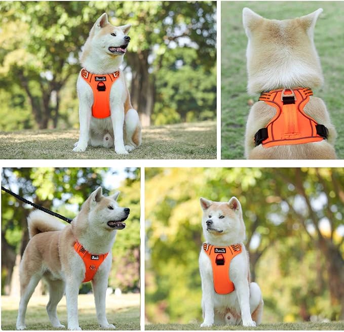 Lukovee No Pull Dog Harness, No Choke Adjustable Dog Harness with 2 Leash Clips and Easy Control Vertical Handle, Soft Padded Dog Vest for Medium and Large Dogs (Medium, Orange)