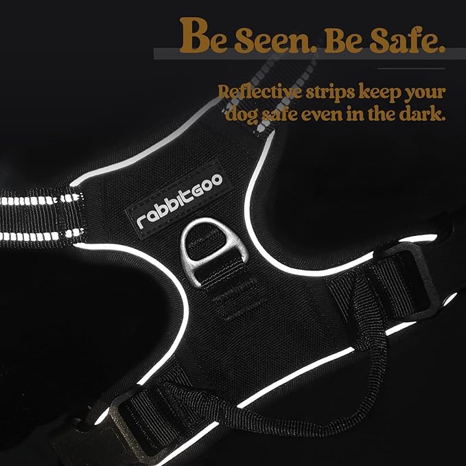 rabbitgoo Dog Harness, No-Pull Pet Harness with 2 Leash Clips, Adjustable Soft Padded Dog Vest, Reflective No-Choke Pet Oxford Vest with Easy Control Handle for Small Dogs, Black, S