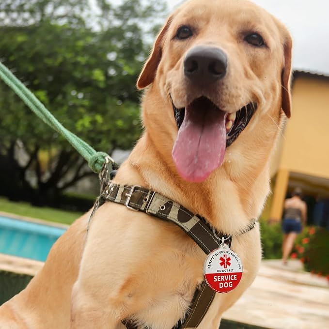 MYLUCKYTAG Service Dog Tag, NFC & QR Code Smart Pet ID Tag Personalized Dog Tag, Online Pet Profile, Pet Location Alert Email, Digital Pet Tag, Quiet Pet Tag, Durable Pet ID, Dog Collar Tag