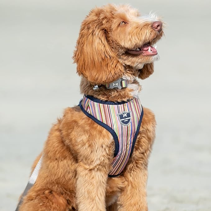HUGO & HUDSON Dog Harness No-Pull Anti Choke Adjustable Padded Pet Vest, Multi-Color Striped, M