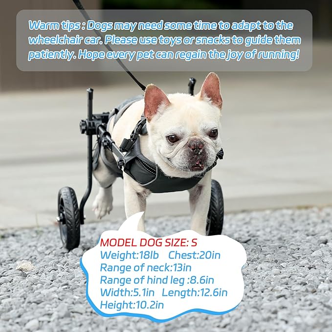 Small Dog Wheelchair for Back Legs, Lightweight Dog&Cat&Pets Wheelchair Cart with Disabled Hind Legs Walking, Adjustable Doggy Wheelchair Cart with Wheels for Back Legs