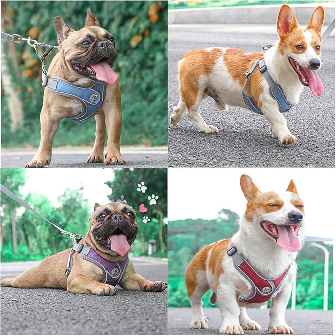 Step-in Dog Harness, Adjustable Reflective Small Dog Harness and Leash Set, Soft Air Mesh Vest Kit for Small Medium Breed Puppy and Cats