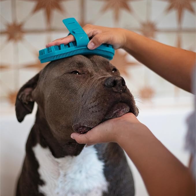 Messy Mutts Reversible Silicone Dual Sided Pet Grooming Brush | Gentle Massage, Brushing, Bathing and Dog Hair Removal Tool | One Size Fits All | Blue