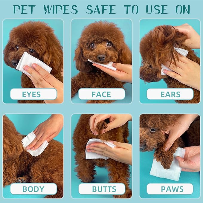 Pet Hypoallergenic Wipes,Extra Thick Cat Wipes for Cleaning Small Animal's Paws,Ears,Butt,Face and Eyes,Portable Organic Paw Wipes for Cats,Ideal for Home or Trave (320 Count (Pack of 4))