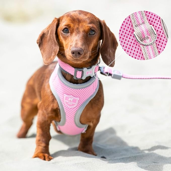HUGO & HUDSON Dog Harness No-Pull Pet Harness Adjustable Quick Dry Mesh Padded Vest, Pink, XS