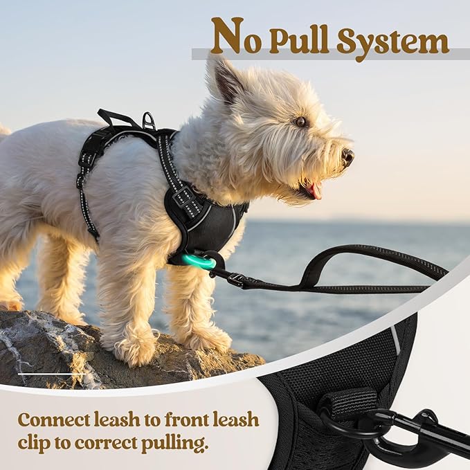 rabbitgoo Dog Harness, No-Pull Pet Harness with 2 Leash Clips, Adjustable Soft Padded Dog Vest, Reflective No-Choke Pet Oxford Vest with Easy Control Handle for Small Dogs, Black, X-Small