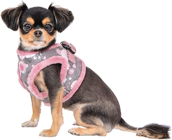 Calla Vest Harness - Grey - S