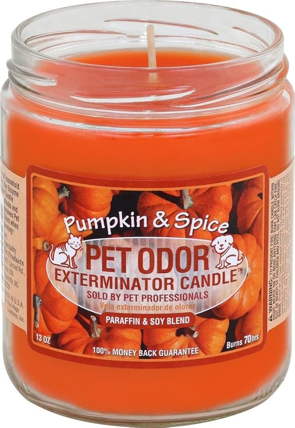 Pet Odor Exterminator Candle Pumpkin & Spice