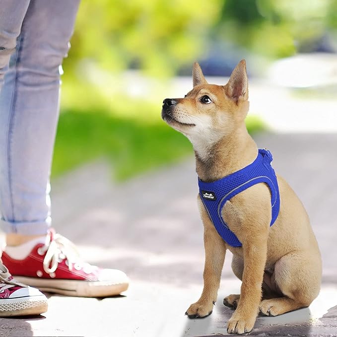 TwoEar Dog Vest Harness Reflective, No-Pull Pet Harness Easy Control with Breathable Mesh, Soft Puppy Step-in Harness No-Choke for Outdoor Walking, Training for Small Dogs(S, Blue)