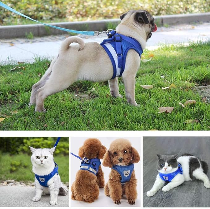 FEimaX Dog Harness and Leash Set for Walking, Soft Mesh Adjustable Easy Control Lightweight Cat Vest Harnesses with Reflective Strips, Escape Proof Small Dogs Cats Vests (Blue, X-Small)