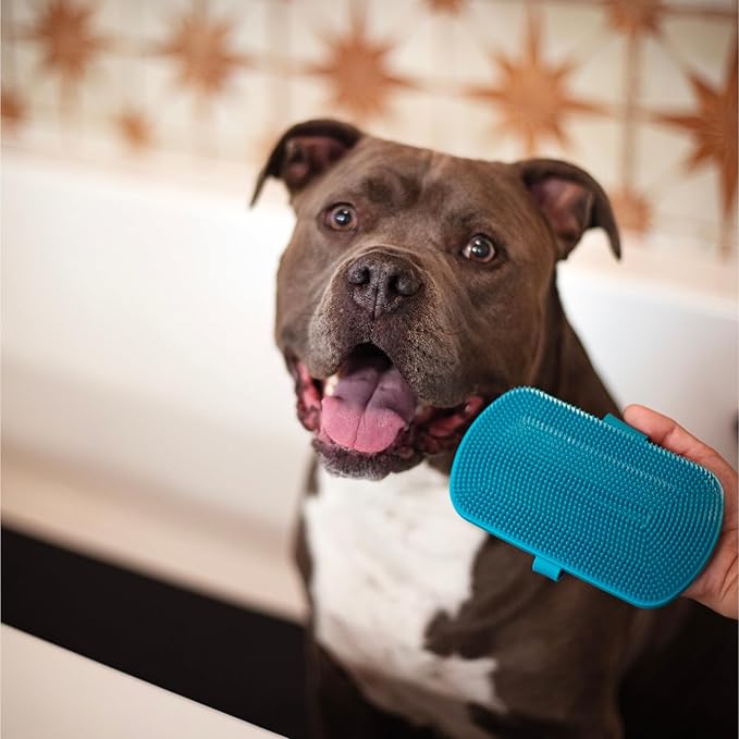Messy Mutts Reversible Silicone Dual Sided Pet Grooming Brush | Gentle Massage, Brushing, Bathing and Dog Hair Removal Tool | One Size Fits All | Blue