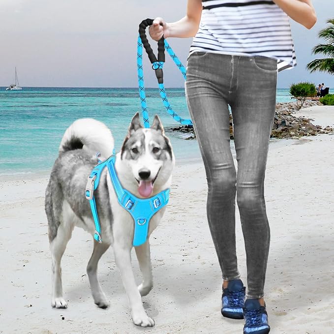 BARKBAY No Pull Dog Harness Large Reflective Dog Harness with Front Clip and Easy Control Handle for Walking Training Running with ID tag Pocket(Blue,XL)