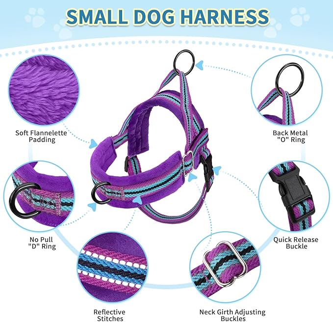 SlowTon No Pull Small Dog Harness and Leash Set, Puppy Soft Vest Harness Neck & Chest Adjustable, Reflective Lightweight Harness & Anti-Twist Pet Lead Combo for Small Medium Dogs (PU-Front Clip, XXS)