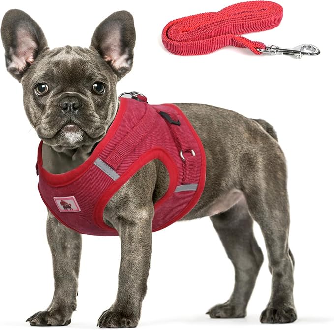 FEimaX Dog Harness and Leash Set, No Pull Reflective Adjustable Pet Harnesses for Puppy Kitten Soft Corduroy Chest Harness for Small Medium Dogs and Cats Easy Control Vest for Outdoor Walking
