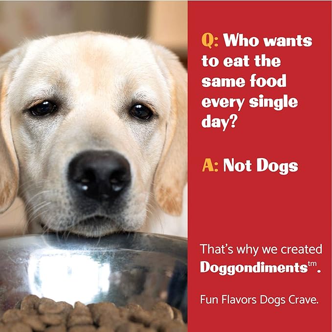 Southern Fried Chicken Flavor Dog Food Topper, Fun People Food Flavors, Powder, Dog Condiments for Meals, Dog Food Toppers for Dogs for Small & Large Breeds,