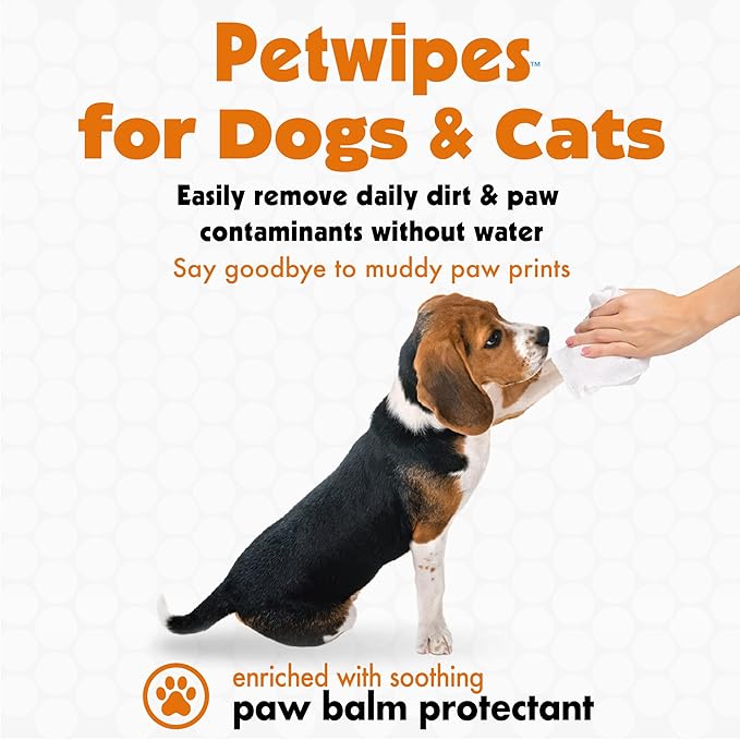 Petkin Big N' Thick Paw Wipes for Dogs, 100 Large Wipes (4 Pack) - Clean Dirty Paws After Walks, with Paw Balm Protectant - Keep Floors and Furniture Clean - Ideal for Home or Travel - Orange Scent