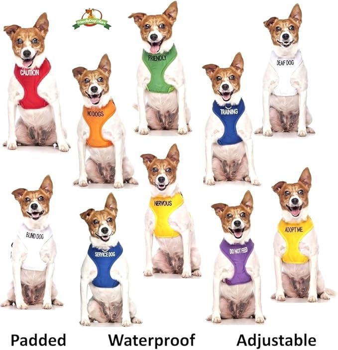 Limited Blind Dog White Color Coded Alert Warning L XL Non-Pull Dog Harness Prevents Accidents by Warning Others of Your Dog in Advance