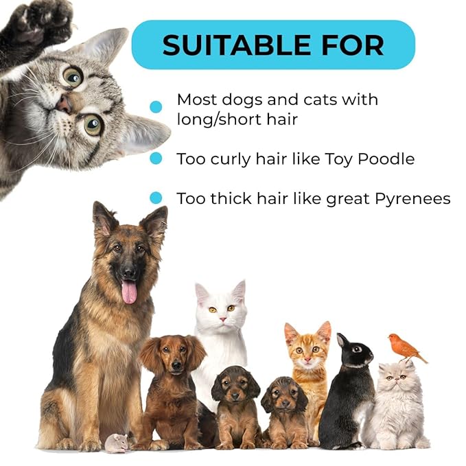 Professional 5 in 1 pet grooming kit, interchangeable bath & massage pet brush, dematting & deshedding comb for dogs, bristle dog brush and pin brush, dog and cat grooming supplies