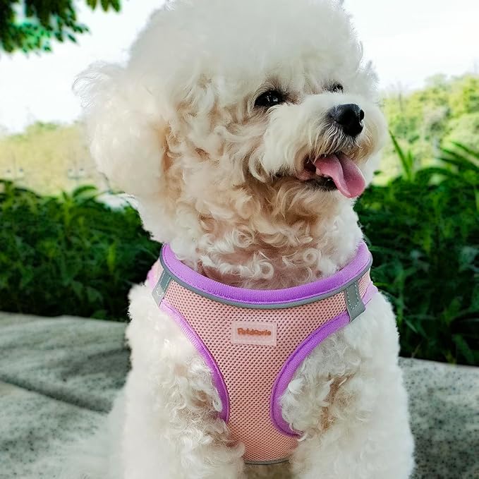 Soft Mesh Dog Harness and Leash Set, No-Chock Step-in Reflective Breathable Lightweight Easy Walk Escape Proof Vest Harnesses with Safety Buckle for Small Medium Dogs, Cats (Purple, Small)