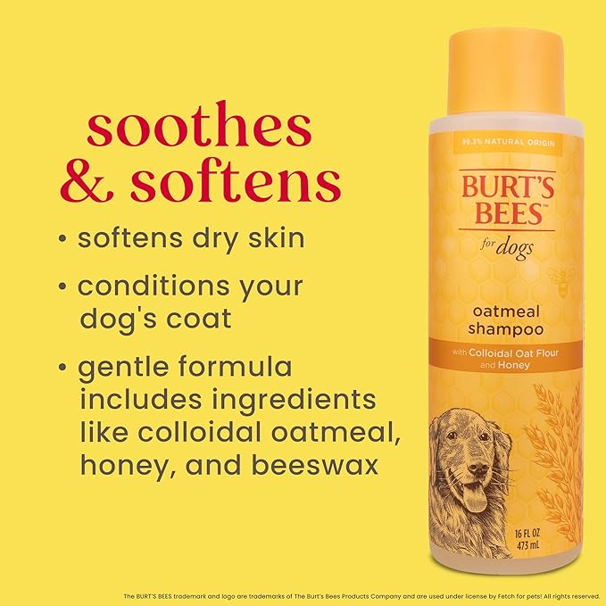Burt's Bees for Pets Oatmeal Dog Shampoo with Colloidal Oat Flour and Honey, 95% Natural Origin Formulas, Shampoo for Dogs - Gentle Dog Shampoo, Best Dog Shampoo, 16 oz
