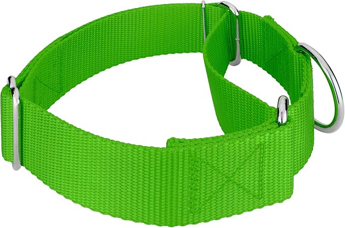 Country Brook Petz 1 1/2 Inch Martingale Heavy Duty Nylon Adjustable Dog Collar for Small, Medium, Large Breeds - Vibrant 17 Color Selection (Hot Lime Green, Large)