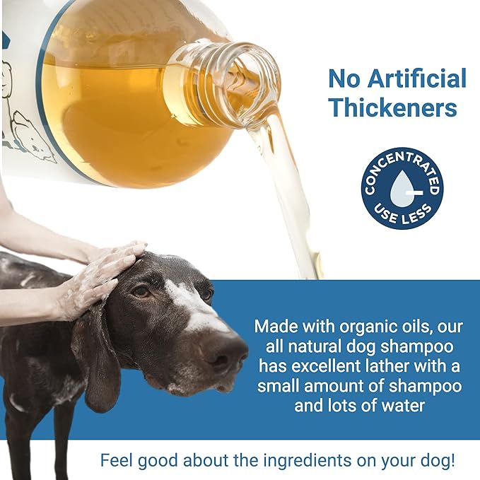 Organic Natural Dog Shampoo, Hypoallergenic Dog Shampoo, Puppy Safe Coconut Shampoo, Sensitive Skin, Fragrance Free with Aloe for Soothing Relief of Dry, Itchy, Sensitive Allergy Skin 16 oz
