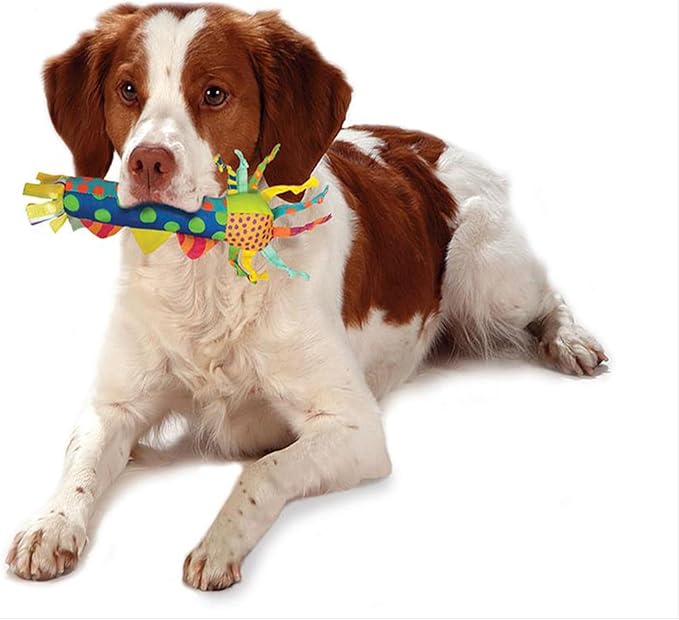 Petstages Cool Teething Stick for Dogs - Soothing Chew Toy for Teething Puppies - Freezable for Added Relief - Durable & Safe Dental Aid, Multicolor, One-Size