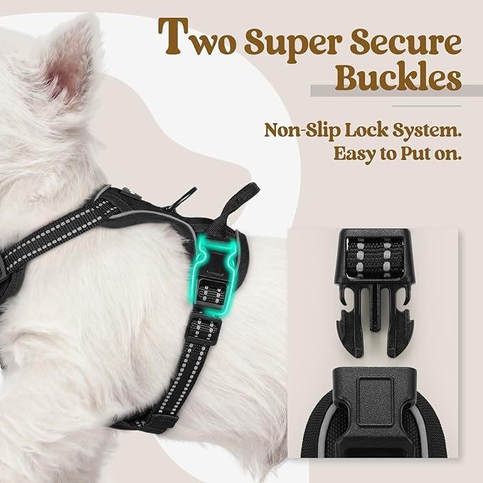 rabbitgoo Dog Harness, No-Pull Pet Harness with 2 Leash Clips, Adjustable Soft Padded Dog Vest, Reflective No-Choke Pet Oxford Vest with Easy Control Handle for Small Dogs, Black, X-Small