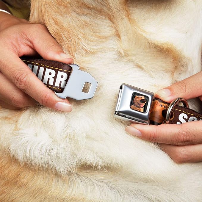 Buckle-Down Seatbelt Buckle Dog Collar - Dug 3-Poses/SQUIRREL! Brown/Yellow/White - 1" Wide - Fits 11-17" Neck - Medium