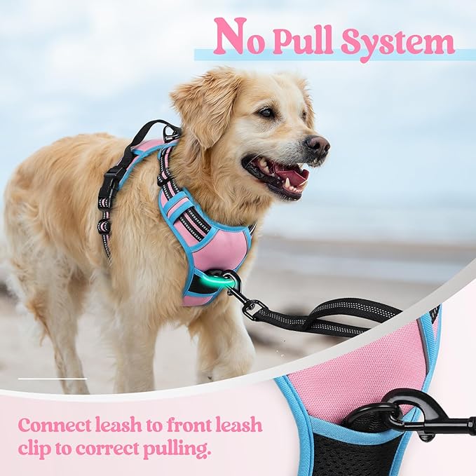 rabbitgoo Dog Harness, No-Pull Pet Harness with 2 Leash Clips, Adjustable Soft Padded Dog Vest, Reflective No-Choke Pet Oxford Vest with Easy Control Handle for Large Dogs, Pink & Blue, M