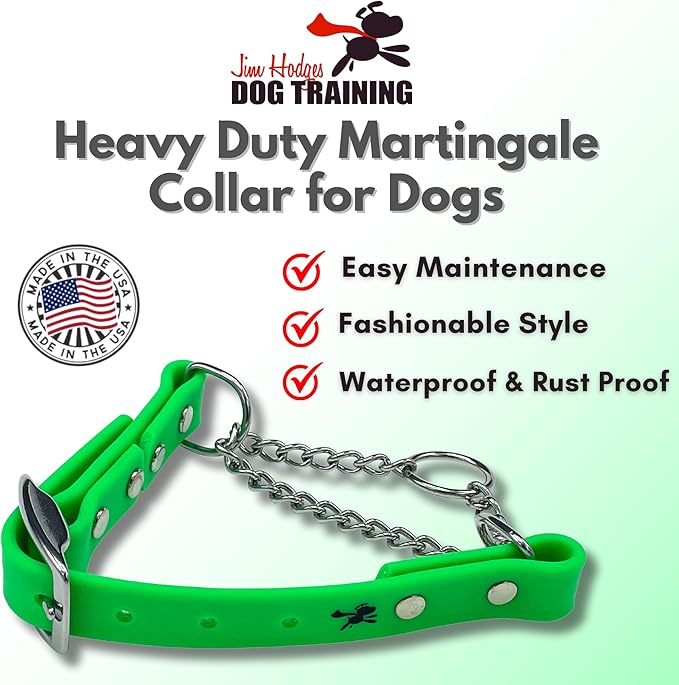 Martingale Collar for Dogs, Biothane, Stainless Steel Hardware, No Pull, Made in The USA, Professional Grade, Large, Green