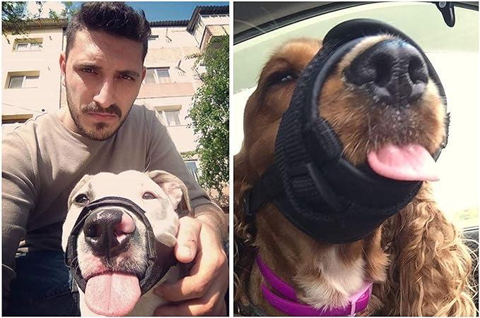 Nylon Dog Muzzle for Small,Medium,Large Dogs Prevent from Biting,Barking and Chewing,Adjustable Loop(L/Blue)