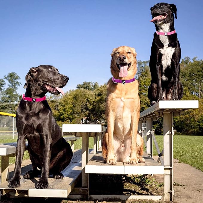 azuza 3 Pack Dog Collars Comfortable and Adjustable Nylon Dog Collars for Large Dogs, L (18-26inch), Pink, Hot Pink and Purple