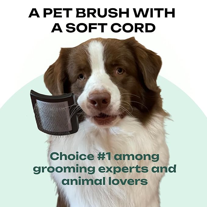 Natural Wooden Grooming Brush for Pets – Long Metal Pins Slicker for Dogs & Cats
