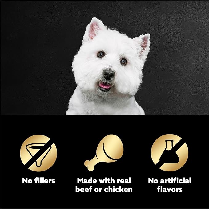 Cesar Filets in Gravy Wet Dog Food Filet Mignon Flavor and Rotisserie Chicken Flavor Variety Pack, 1.76 oz. Mini-Pouches, 20 Pack (Pack of 2)