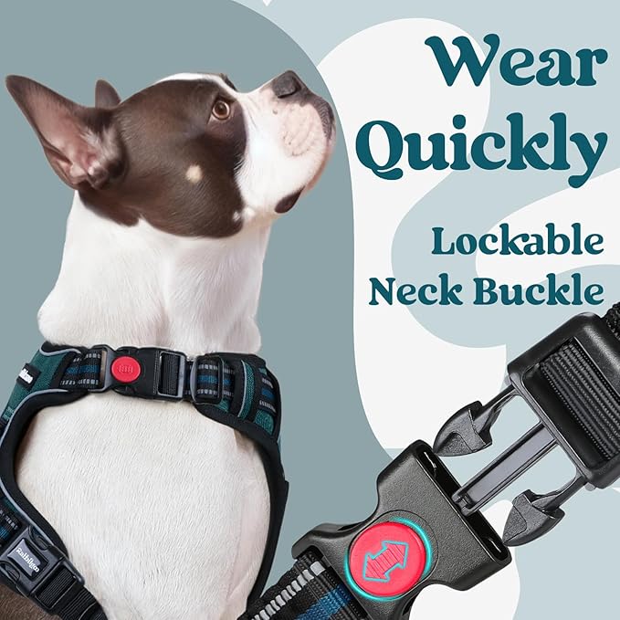 rabbitgoo Dog Harness Small Sized, No Pull Pet Harness with 3 Buckles, Adjustable Soft Padded Dog Vest with Instant Control Handle, Easy Walking Reflective Pet Vest for Small Dogs, Blue Coral, S