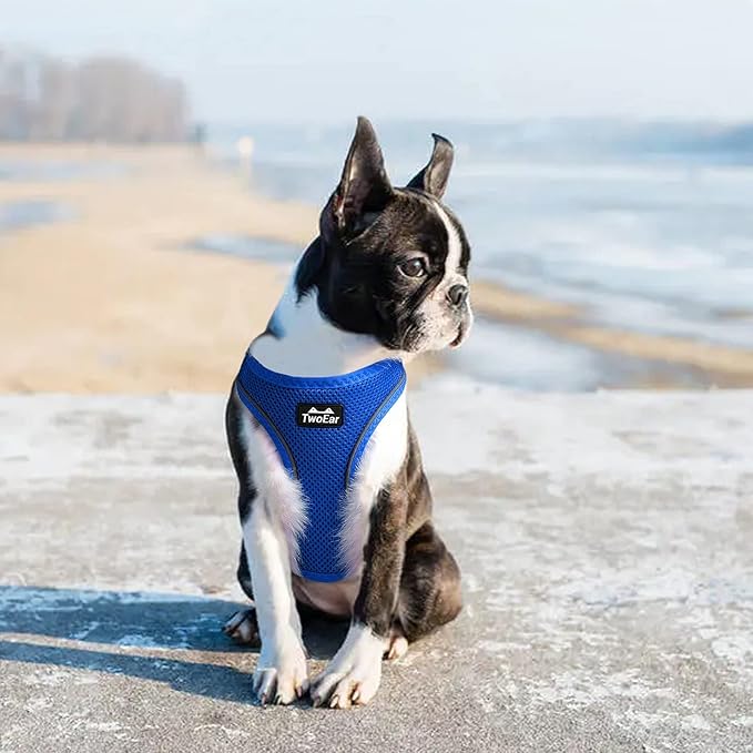 TwoEar Dog Vest Harness Reflective, No-Pull Pet Harness Easy Control with Breathable Mesh, Soft Puppy Step-in Harness No-Choke for Outdoor Walking, Training for Medium Dogs(M, Blue)