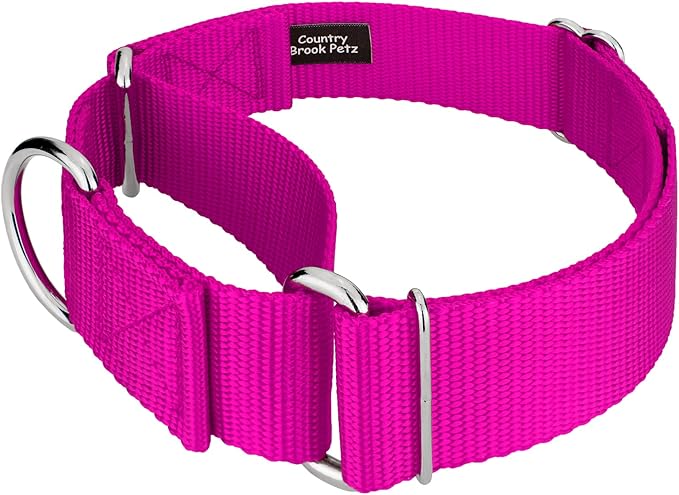 Country Brook Petz 1 1/2 Inch Martingale Heavy Duty Nylon Adjustable Dog Collar for Small, Medium, Large Breeds - Vibrant 17 Color Selection (Fuchsia, Medium)