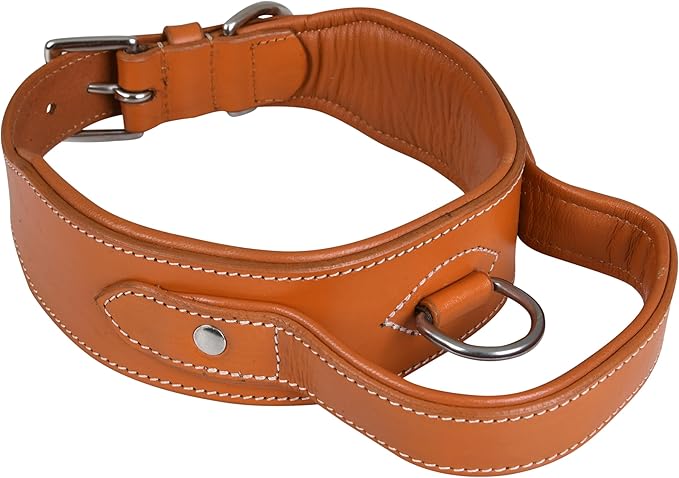 Leather Dog Collar with Handle, 2 Inch Wide Saddle Grade Brown Leather Dog Collar for Extra Large Dogs | Heavy Duty, Comfortable, Inner Soft Padded | (XL (Fit Neck Size 22"-26"), Light Brown)