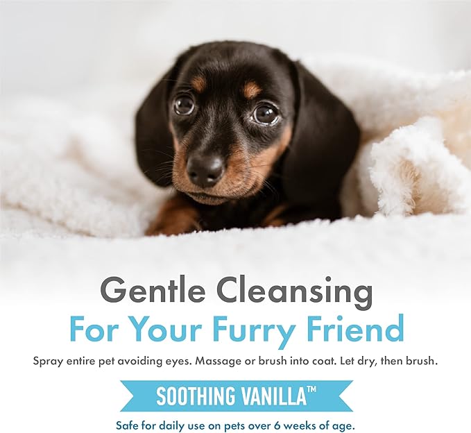 Petkin Hemp Waterless Dog Shampoo Spray – with Hemp Oil & Soothing Vanilla Extract, 8 fl oz – for Cats and Dogs – Soothes, Calms & Conditions, Keeps Pet Smelling Great – for Home and Travel