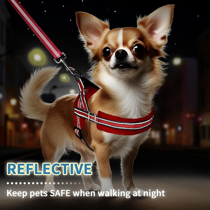 SlowTon No Pull Small Dog Harness and Leash Set, Puppy Soft Vest Harness Neck & Chest Adjustable, Reflective Lightweight Harness & Anti-Twist Pet Lead Combo for Small Medium Dogs (Red, XXS)