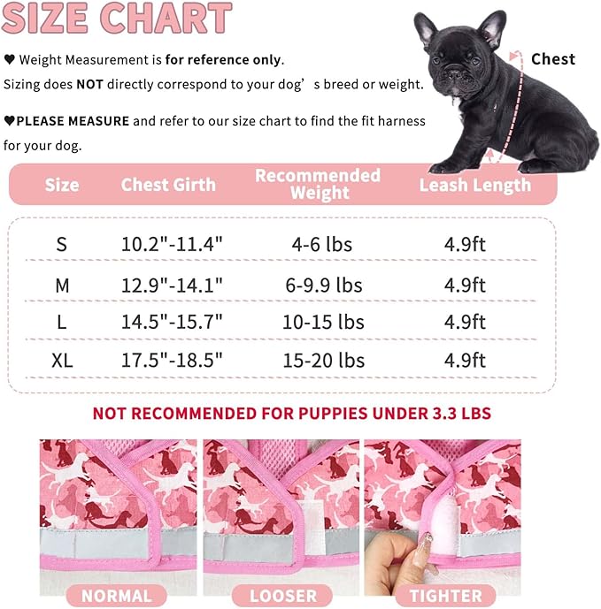 Step in Dog Harness and Leash Set, Reflective Adjustable Dog Vest Harness No Pull Puppy Harnesses for Small Dogs and Cats (S, Pink)