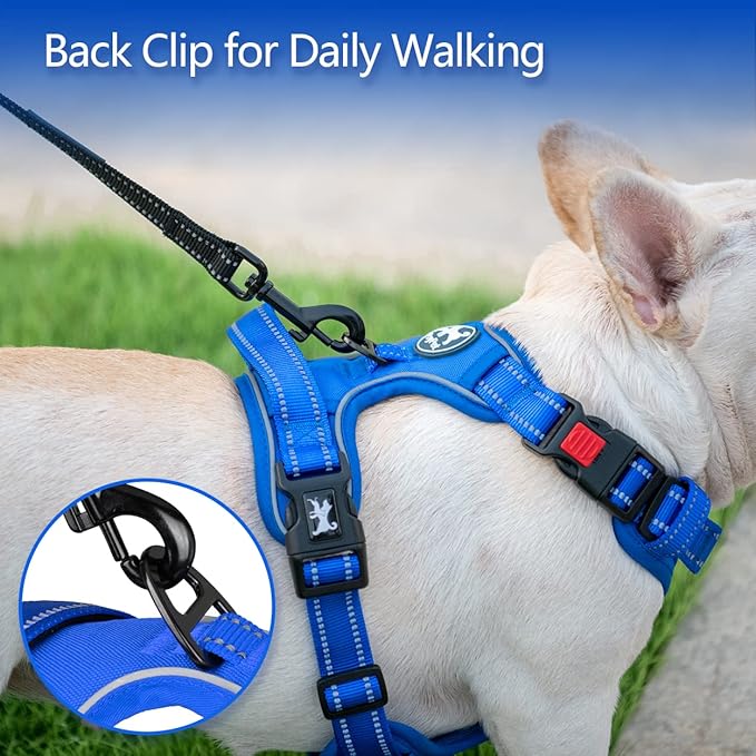 PoyPet No Pull Dog Harness, No Choke Reflective Dog Vest, Adjustable Pet Harnesses with Easy Control Padded Handle for Small Medium Large Dogs(Royal Blue,S)