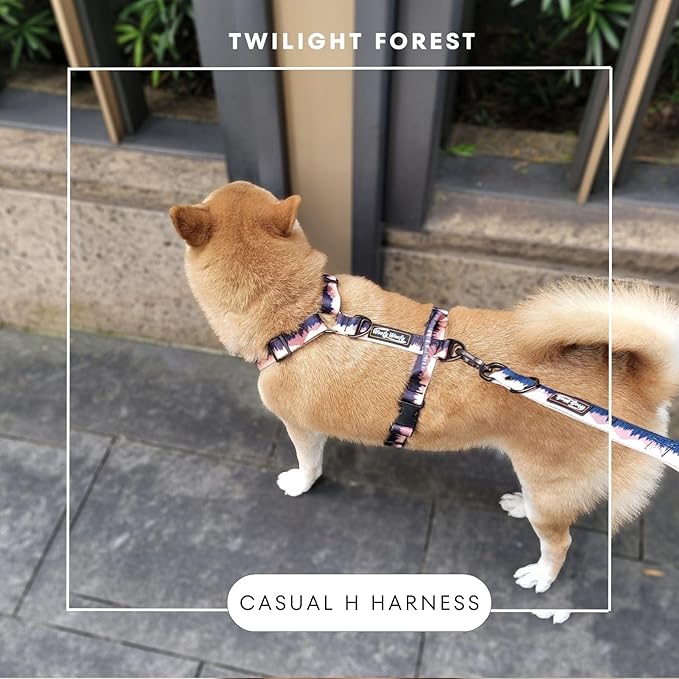 Casual H Dog Harness, No-Pull Pet Harness with 2 Leash Clips, Twilight Forest Gradiant Color, Adjustable Soft Padded Dog Vest for Small Medium Large Dogs (S)