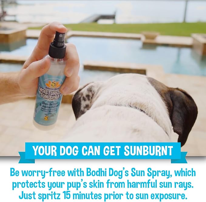 Bodhi Dog Sunscreen Moisturizing Pet Sun Spray - Safe for Dogs, Cats & Horses - Natural Protection for Skin, Coat, Nose, Ears - Hydrating & Non-Toxic - Made in USA (16.5 Fl Oz)