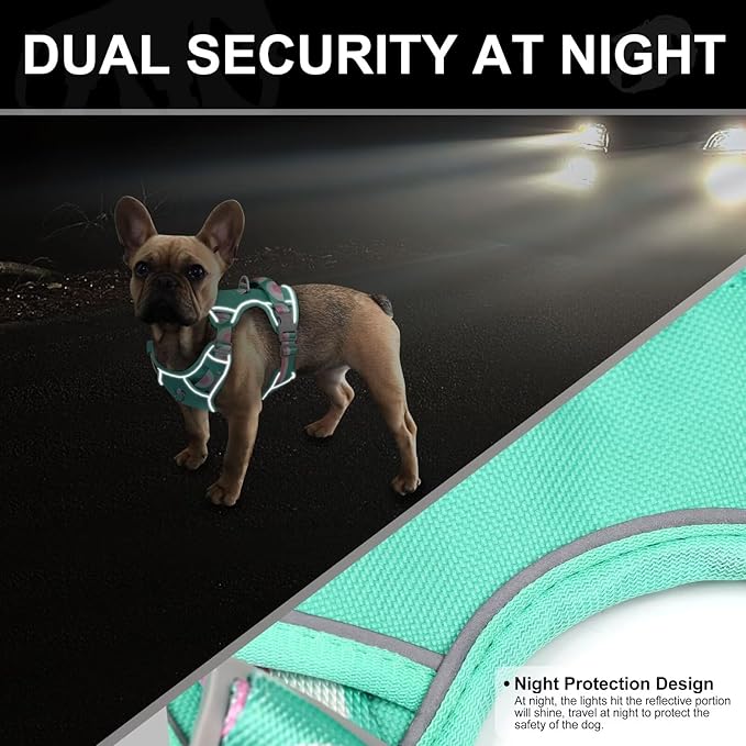 No Pull Dog Harness and Leash Set,Reflective Dog Harness with Easy Control Soft Handle,Adjustable and Comfortable for Easy Walking,Fit Small Medium Large Breed Dogs,Blue,L