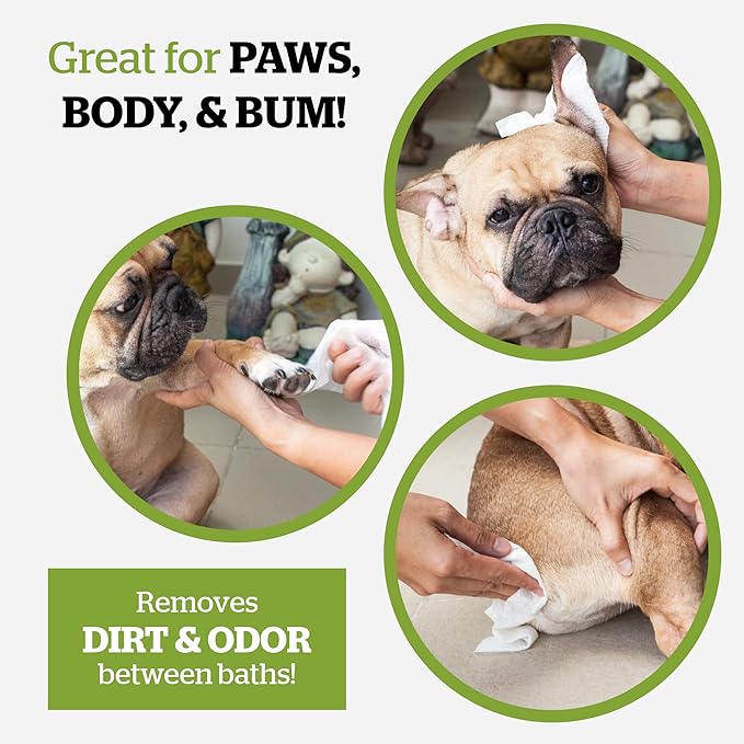 Pogi’s Dog Grooming Wipes – Hypoallergenic Pet Wipes for Paws, Body & Butt – Cleaning & Hydrating, Fragrance Free, 100-Count